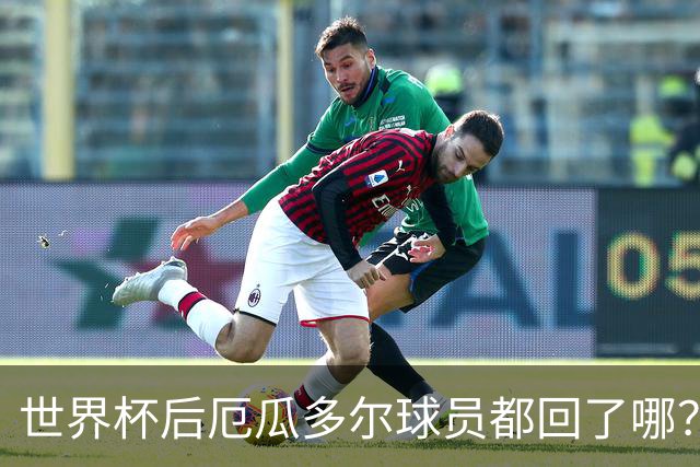 世界杯后厄瓜多尔球员都回了哪？输给墨西哥后他们各归其主